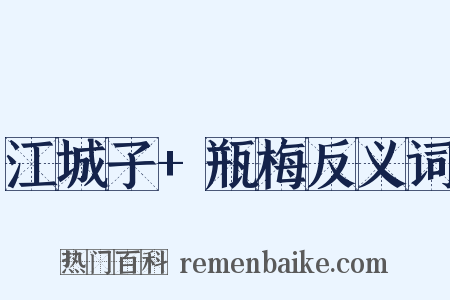 江城子+瓶梅反义词是什么意思的图片
